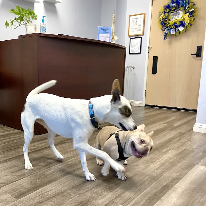 Thrive Family Chiropractic Picture 8