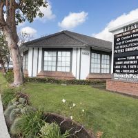 Peters Chiropractic ico