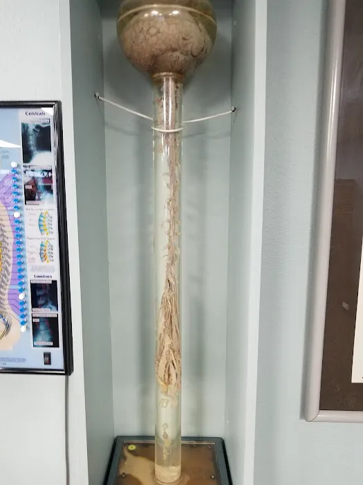 John R. Bergman, DC Picture 3