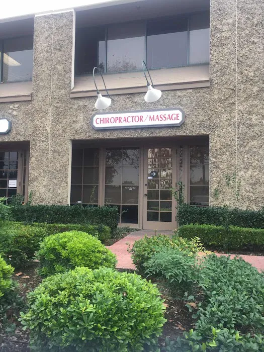 Chiropractor Massage Picture 1