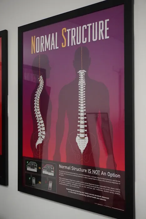 Groundwork Chiropractic Picture 4