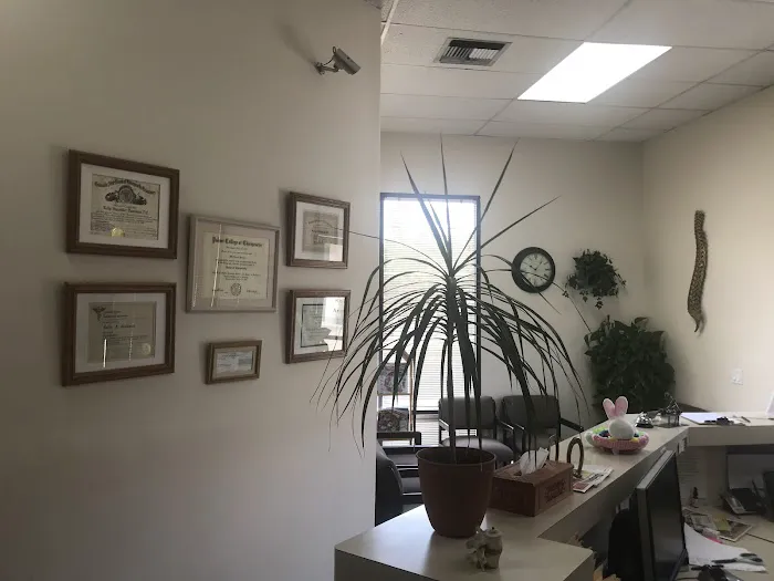 Dr. Andrea Vidaurre Picture 10