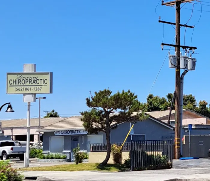 Downey Chiropractic Group Picture 1
