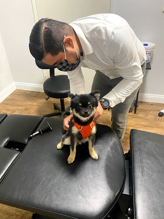 Castro Chiropractic Picture 5