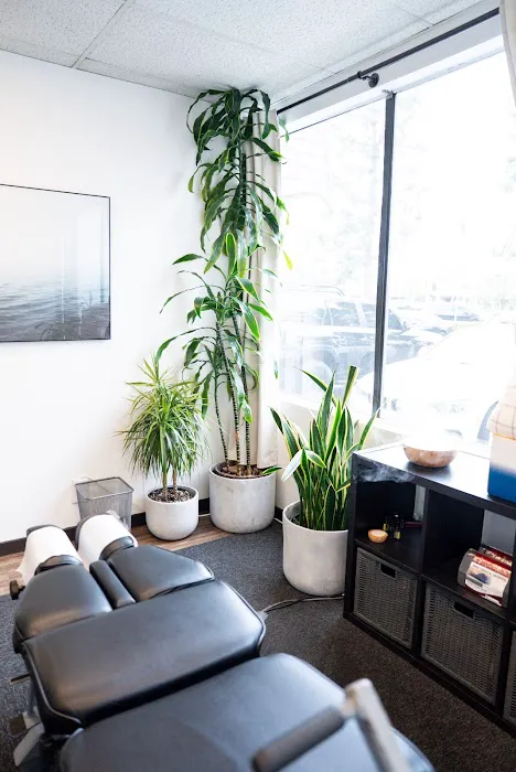 Huntington Beach Chiropractic // Dr. Michael VanDerschelden DC Picture 6