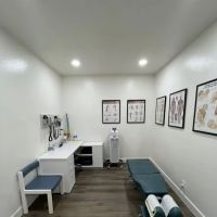 Revive Chiropractic Group ico
