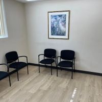 Lesman Chiropractic ico