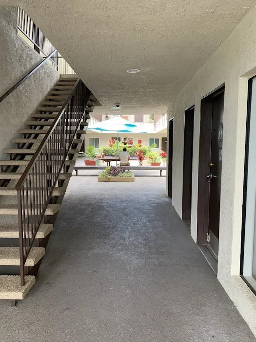 Oceanview Chiropractic & Wellness Center Picture 7