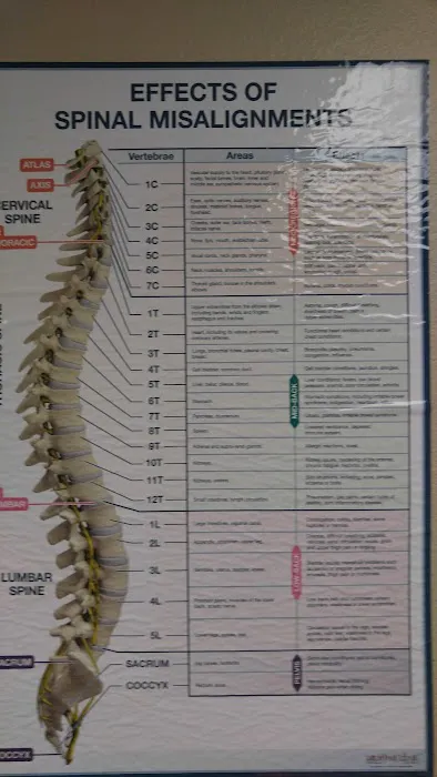 Schwartz Chiropractic Office Picture 6