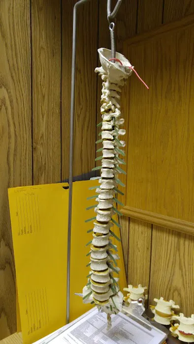 Schwartz Chiropractic Office Picture 2