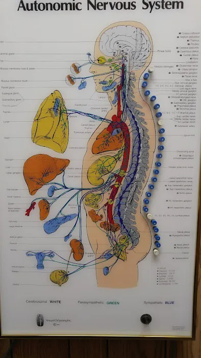 Schwartz Chiropractic Office Picture 7