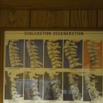 Schwartz Chiropractic Office