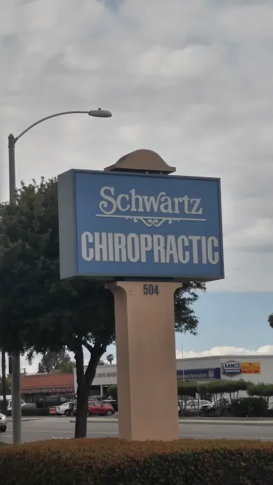 Schwartz Chiropractic Office Picture 4