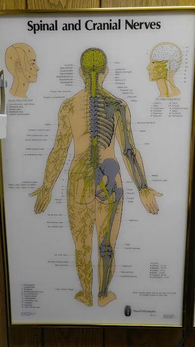Schwartz Chiropractic Office Picture 8