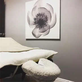 Twins Chiropractic and Physical Medicine Picture 4