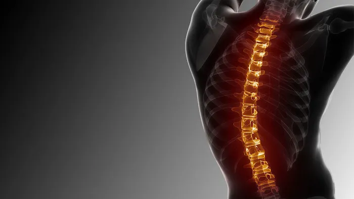 Dr. John Fidone - FV Family Chiropractic Picture 9