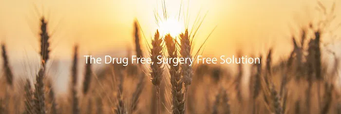 Dr. John Fidone - FV Family Chiropractic Picture 4