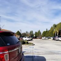 OC Live Active Chiropractic ico