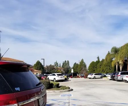 OC Live Active Chiropractic