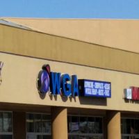 WGA- The Wellness Group of America ico