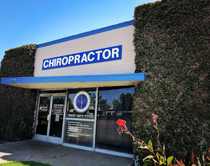 Back Body Mind Chiropractic Picture 9