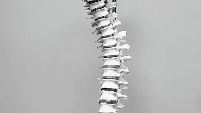 S Chiropractic Picture 6