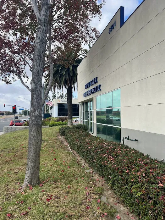 New Back Chiropractic Picture 5