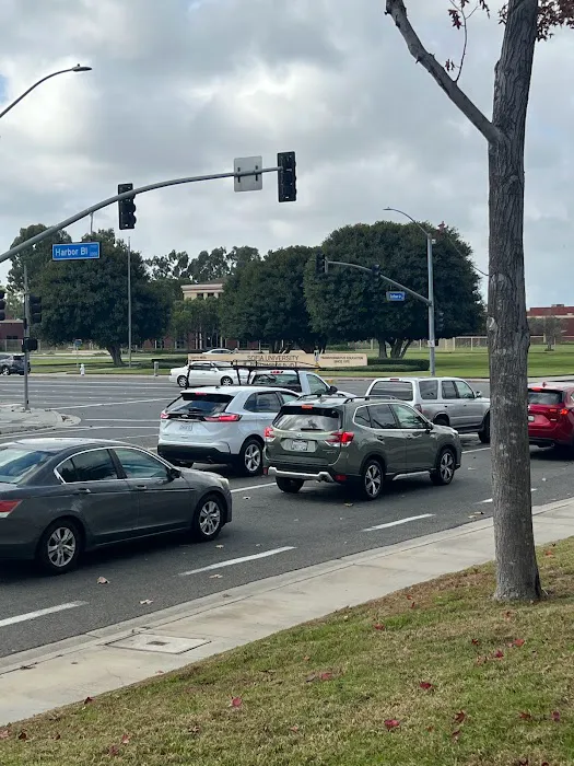 New Back Chiropractic Picture 7