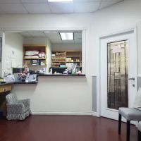 Joy Chiropractic ico