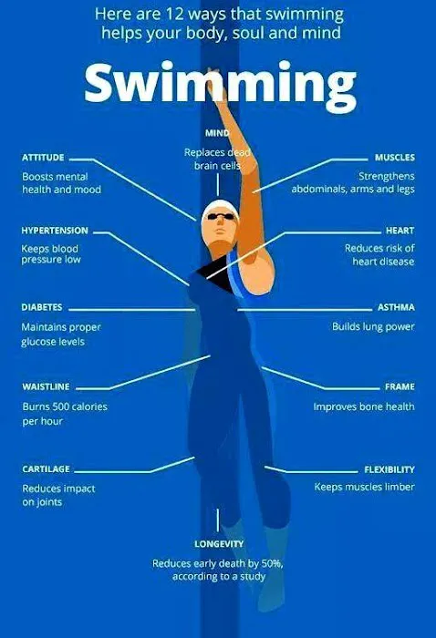 HSUAN WANG CHIROPRACTIC INC Picture 2