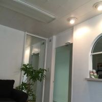HSUAN WANG CHIROPRACTIC INC ico
