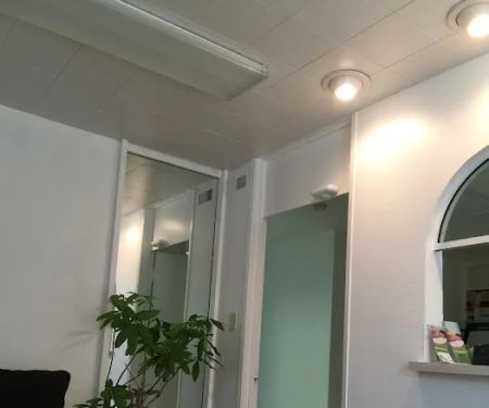 HSUAN WANG CHIROPRACTIC INC