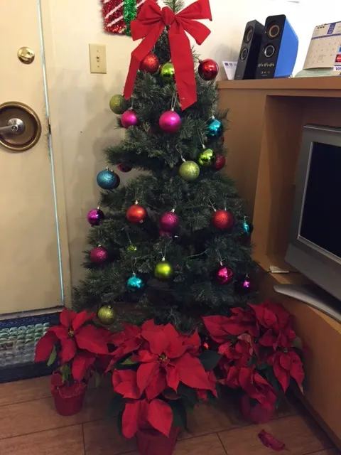 Best Chiropractic Picture 2