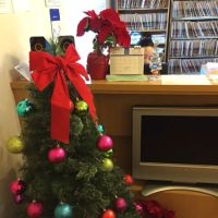 Best Chiropractic ico