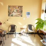 Dr. Arta Babak, DC