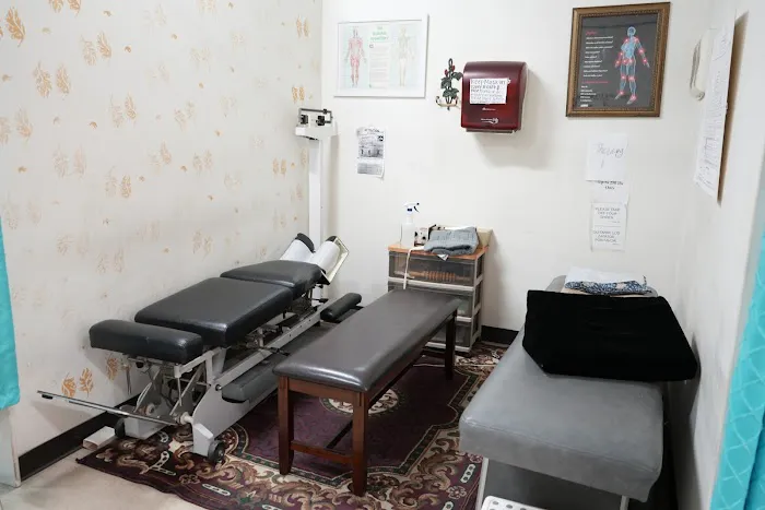 Dr. Arta Babak, DC Picture 3
