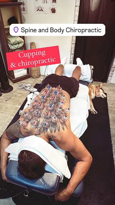 Spine and Body Chiropractic Picture 6