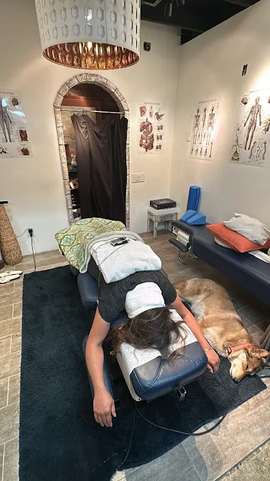 Spine and Body Chiropractic Picture 5