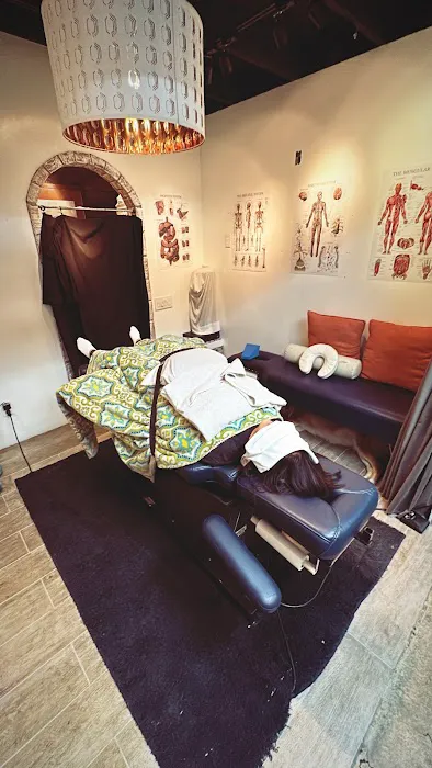 Spine and Body Chiropractic Picture 3