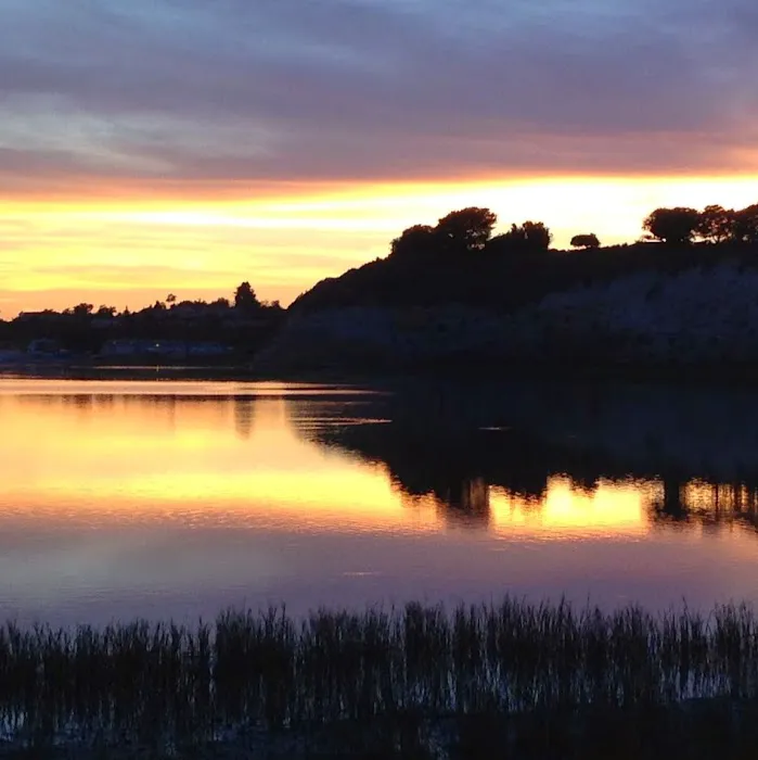 Wellness for Life Picture 2