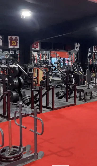 RPTR Chiropractic Sports Medicine Picture 2