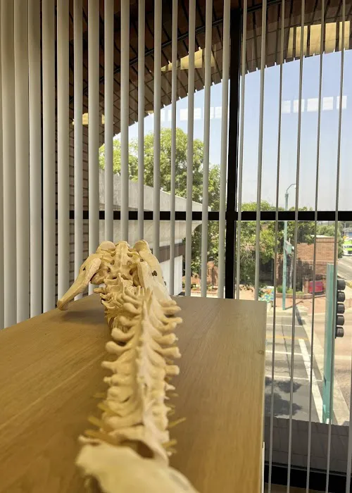 DK SPINE CHIROS Picture 4