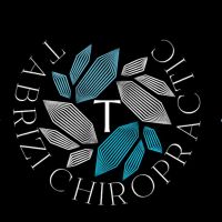 Tabrizi Family Chiropractic ico