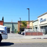 Avalon Chiropractic Institute ico