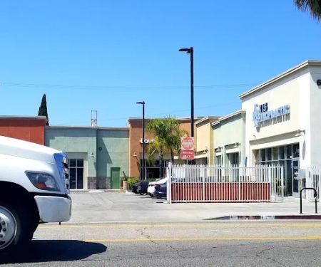 Avalon Chiropractic Institute