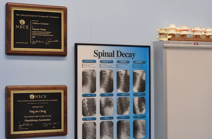 Spine Solution Chiropractic Picture 7