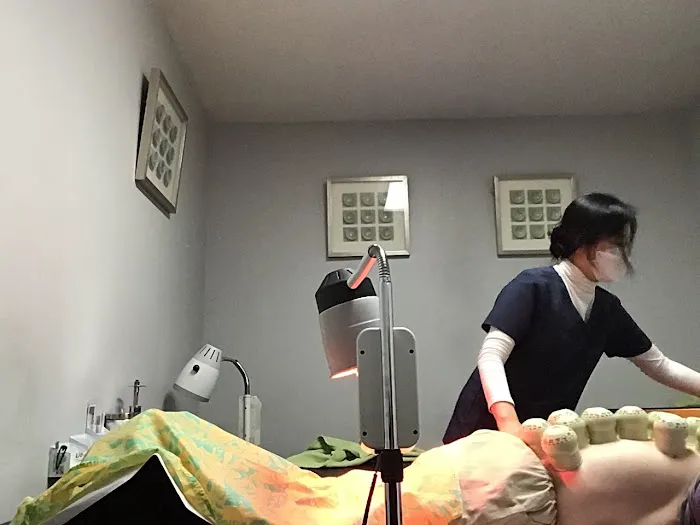 Olympic Spine & Rehab Picture 1