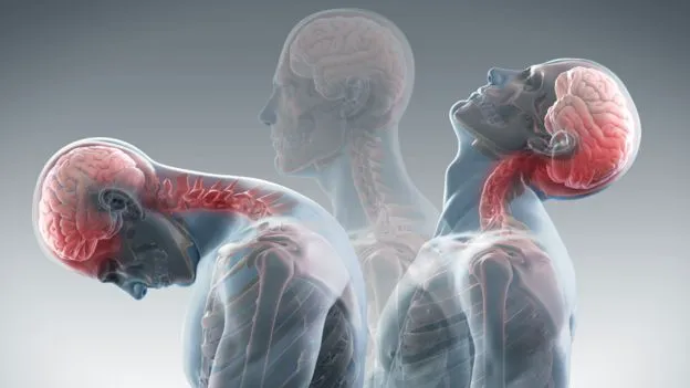 Alignspine Chiropractic Clinic Picture 8