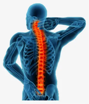 Alignspine Chiropractic Clinic Picture 7