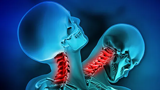 NEES Chiropractic Picture 1